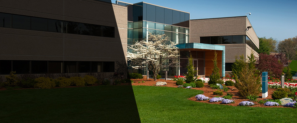 Holloway Landscapers