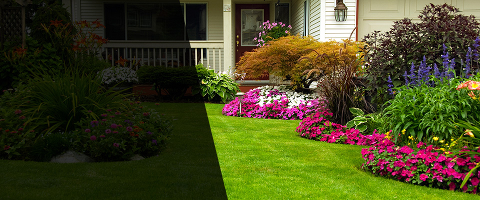 Holloway Landscapers
